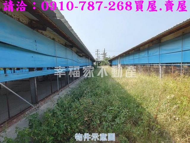 台南將軍雞舍-13