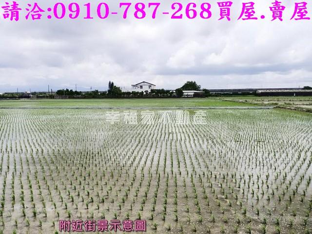 六甲農地-3