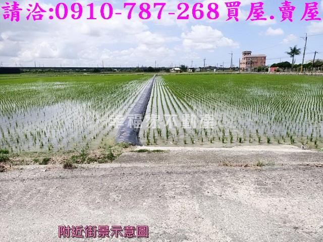 六甲農地-5