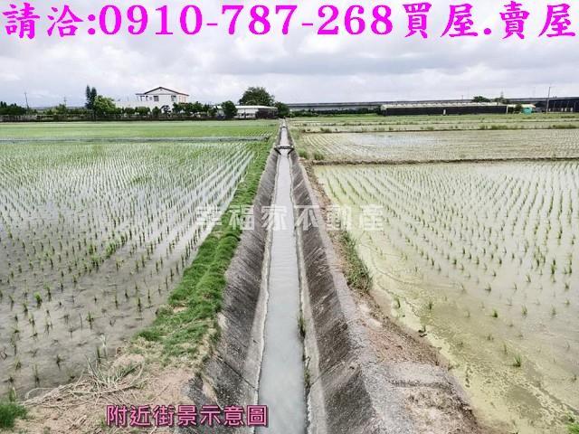 六甲農地-8