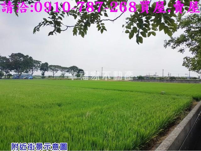 台南下營農地-1
