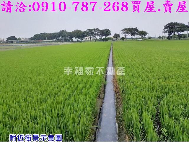 台南下營農地-2
