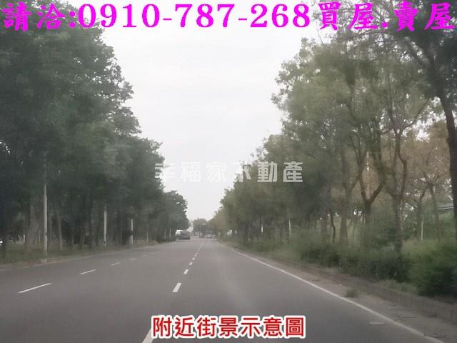 台南善化農地-11
