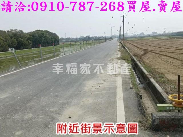 台南善化農地-2