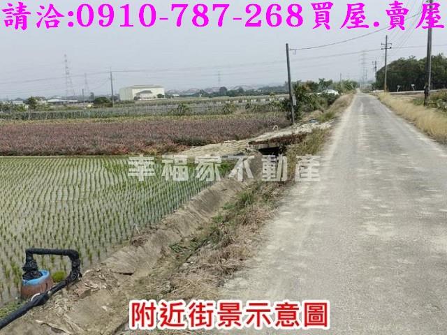 台南善化農地-6