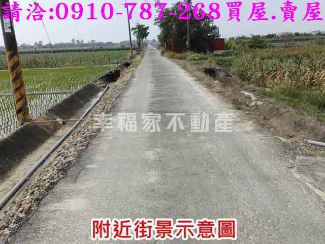 台南善化農地-8