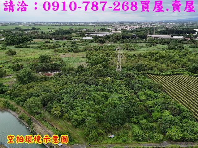 東山農地-9