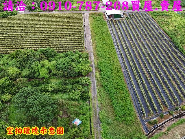 東山農地-12