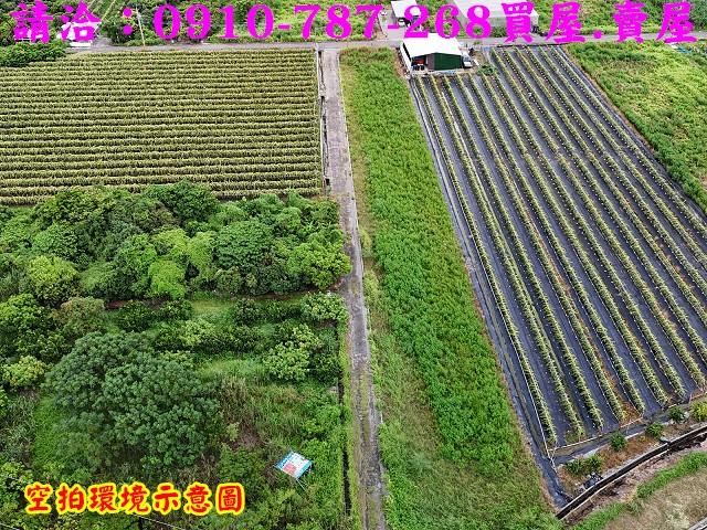 東山農地-0