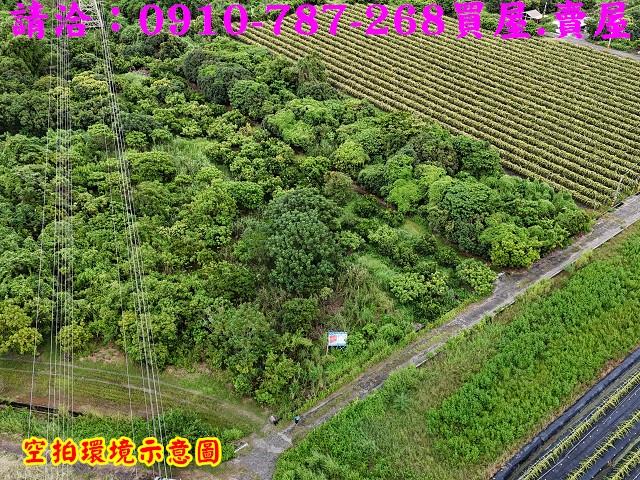 東山農地-2