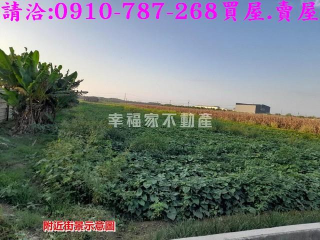 台南下營農地-2