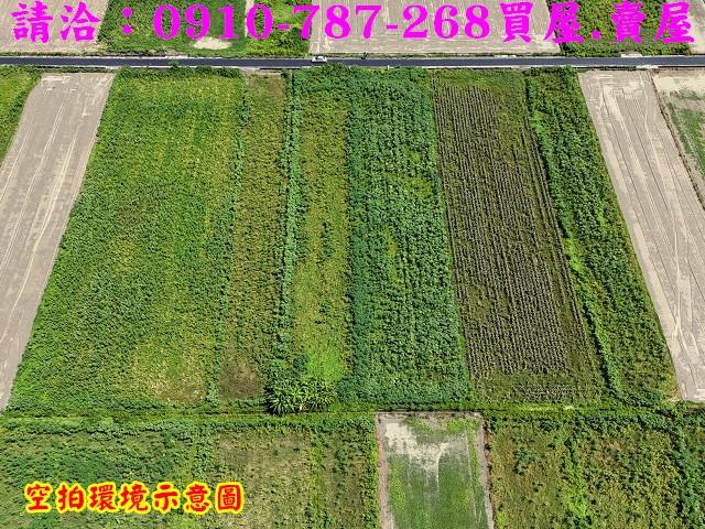 佳里農地-3