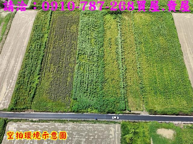 佳里農地-4