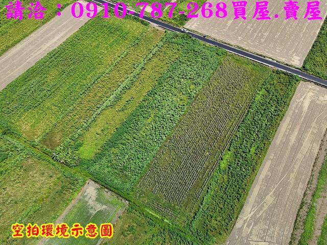 佳里農地-5