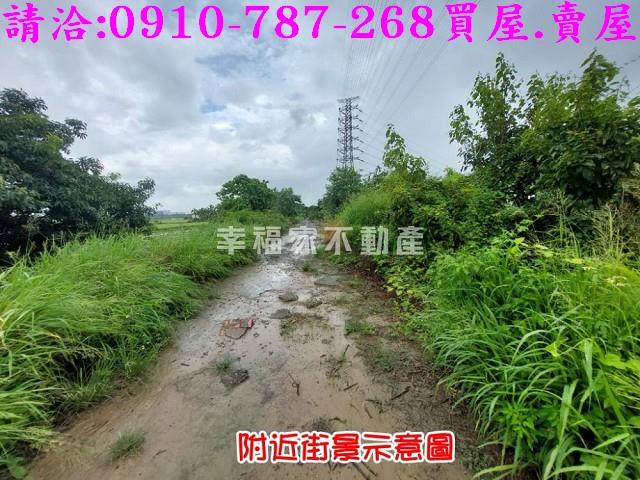 台南農地-5