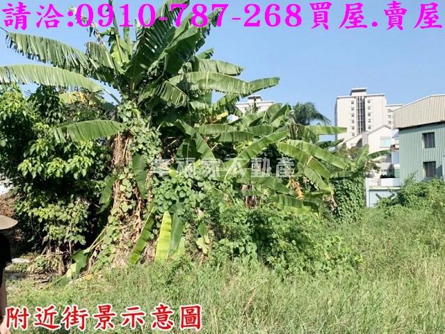 善化建地-3