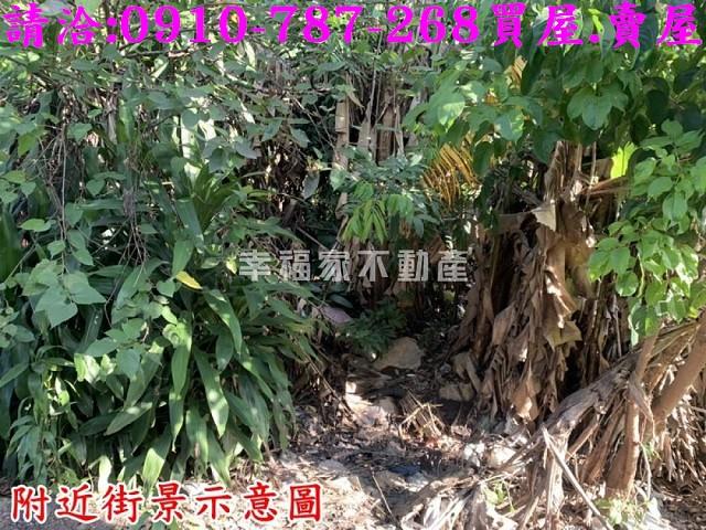 善化建地-6