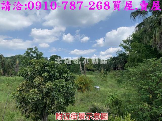 台南大內農地-14