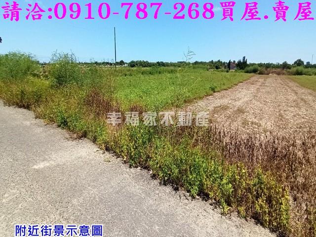 台南農地-9