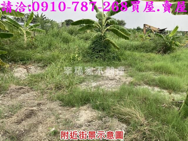 台南安南農地-3