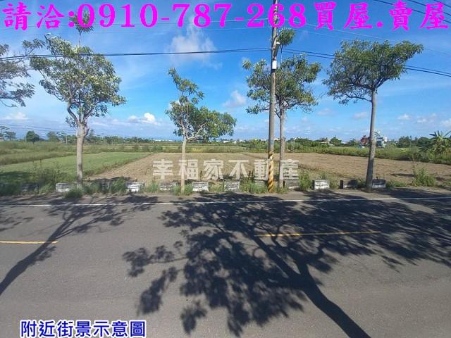 佳里農地-5