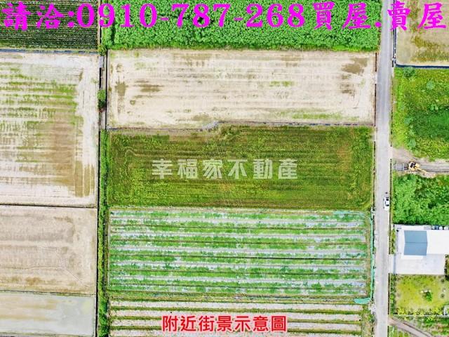 新市農地-6