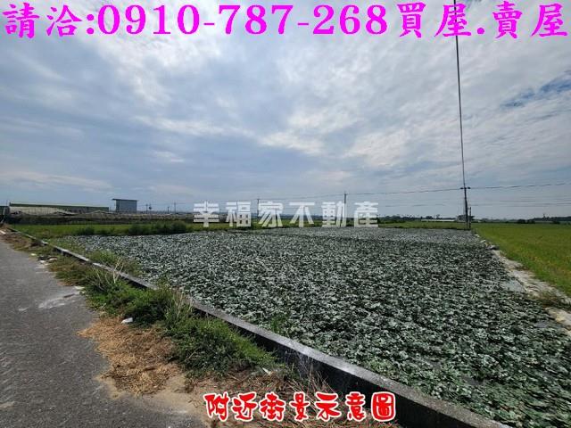 柳營農地-3
