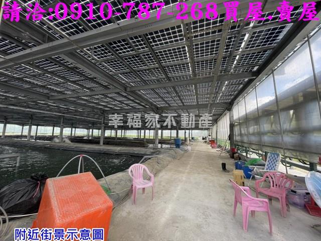 七股養殖地-14