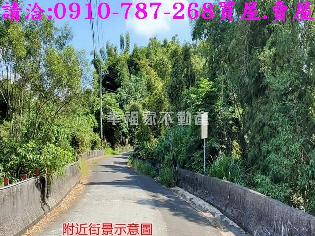 台南龍崎林地-1