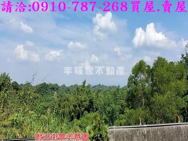 台南龍崎林地-4