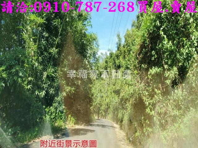 台南龍崎林地-5