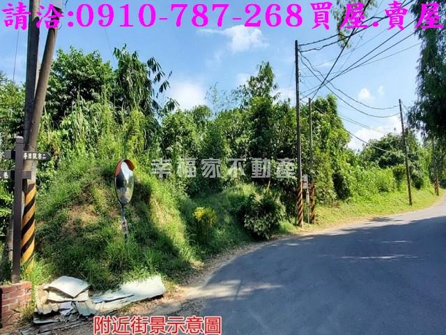 台南龍崎林地-7