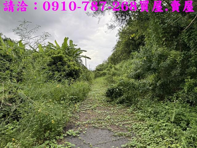 柳營農地-9