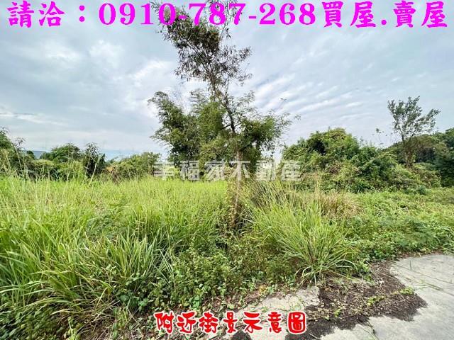 柳營農地-10