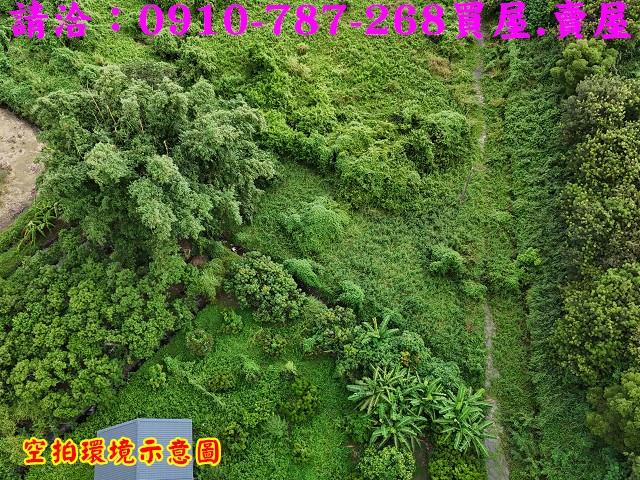 柳營農地-1