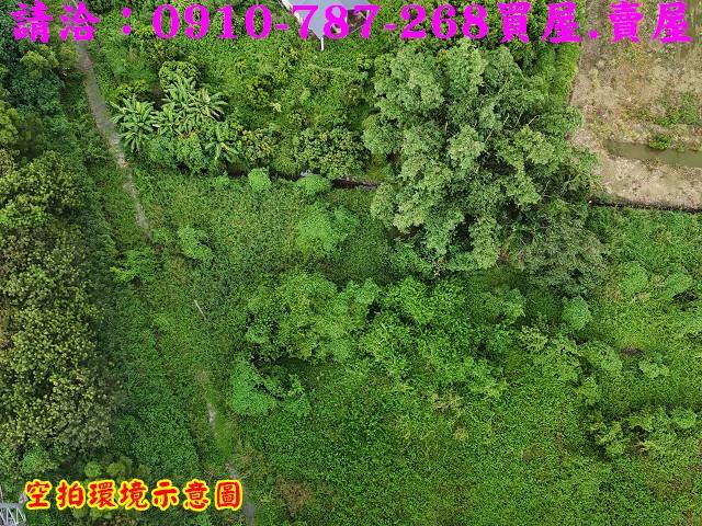 柳營農地-2
