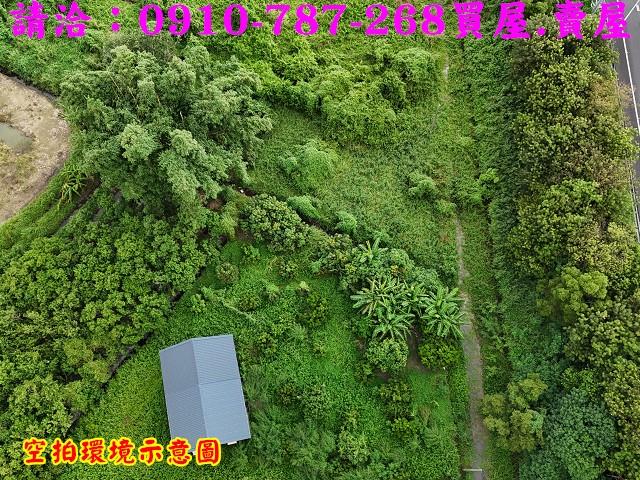 柳營農地-5