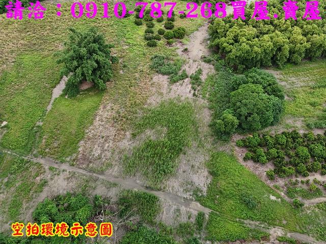 東山農地-3