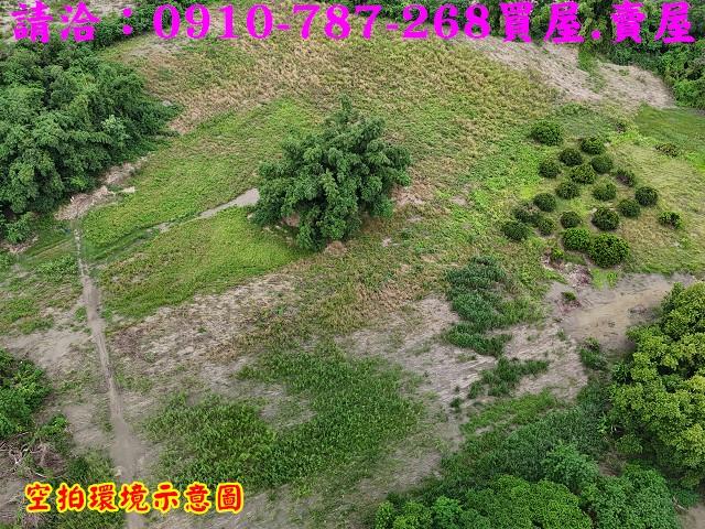 東山農地-4