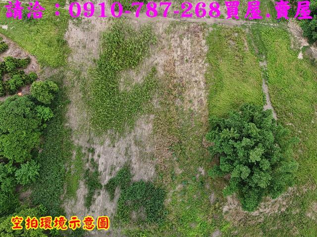 東山農地-6