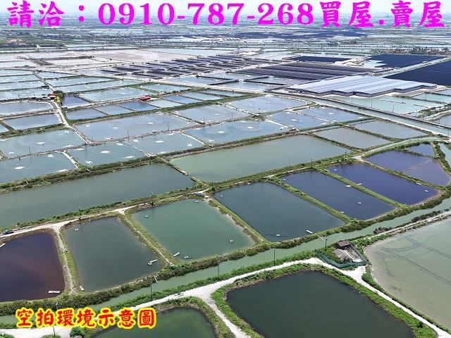 台南七股養殖地-1