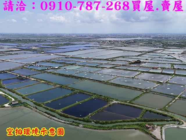 台南七股養殖地-5