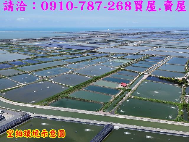 台南七股養殖地-8