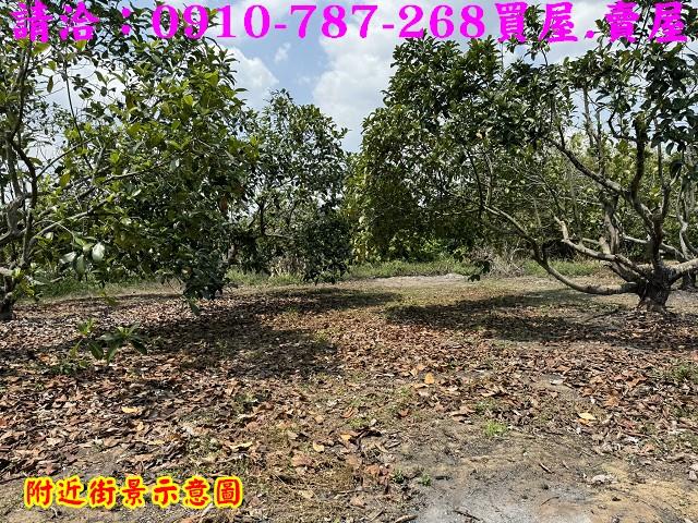 楠西農地-12