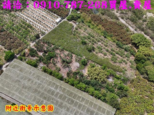 楠西農地-3