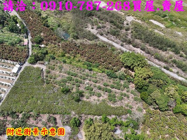 楠西農地-4