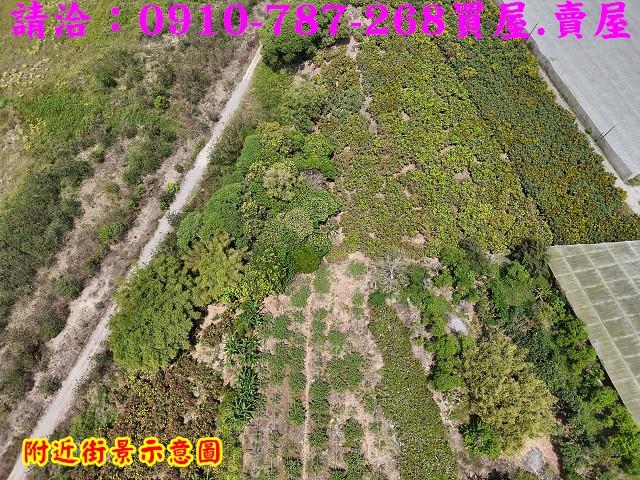 楠西農地-5