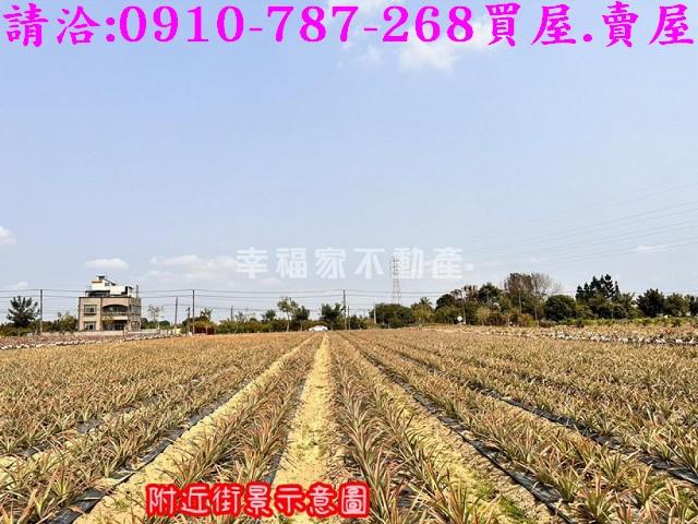 台南山上農地-10