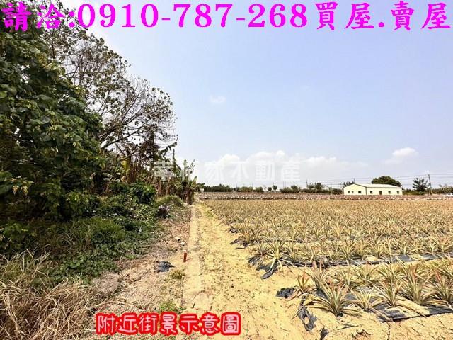 台南山上農地-5