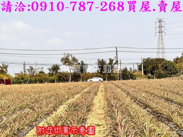山上農地-8